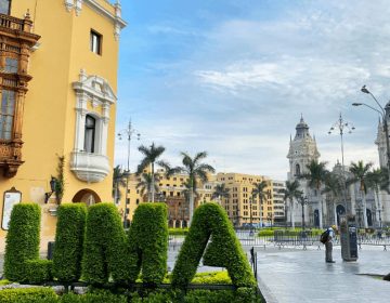 lima3