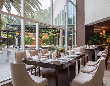 marriott3